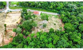 Imagem 2: Terreno à Venda, Tarumã, 11.670m², Próximo à Estrada da Vivenda Verde