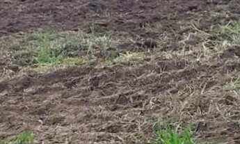 Imagem 6: Terreno Araçoiaba da serra