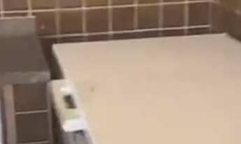 Imagem 7: Chácara EFATAR NA PRAIA DO SACO