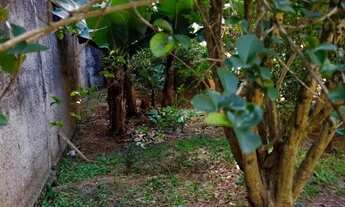 Imagem 6: Terreno com 2000 m² à venda em Itaquera