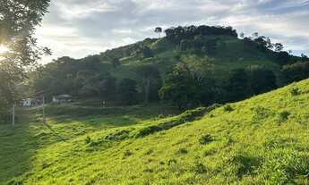 Imagem 3: Fazenda 63 alqueire