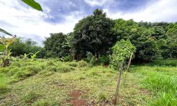 Imagem 3: Chácara com 6,8 hectares no DF