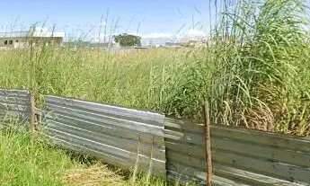 Imagem: Terreno/Loteamento à Venda em Ponte Alta