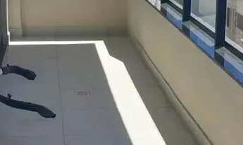 Imagem 5: Apartamento 2 quartos em Nova São Pedro