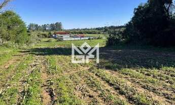 Imagem 3: Casa à venda no bairro Parque Itacolomi em Gravataí com 25.000m² de área total