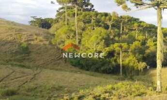 Imagem 4: Lote em Estrada do Blang - Interior - São Francisco de Paula/RS