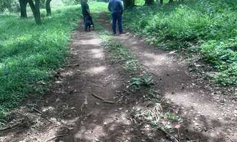 Imagem 6: SITIO 5 ALQUEIRES 100% CULTURA CORUMBA