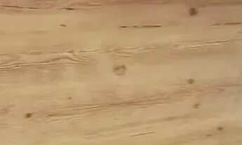 Imagem 7: Apartamento a Venda no Fonte Grande