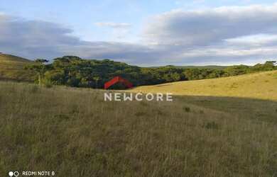 Imagem 6: Lote em Estrada do Blang - Interior - São Francisco de Paula/RS