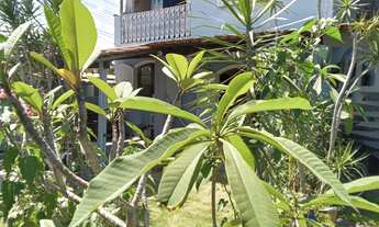 Imagem 4: Jacone Kit . Rua 91