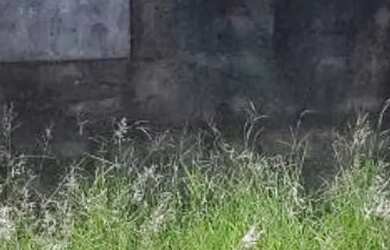 Imagem 7: Belo terreno no Adalgiza, com 250 metros, 10 x25, leve declive