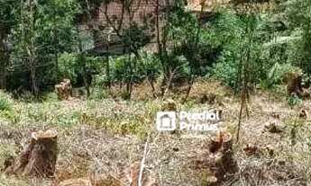 Imagem 3: Terreno à venda, 873 m² por R$ 180.000,00 - Ponte da Saudade - Nova Friburgo/RJ