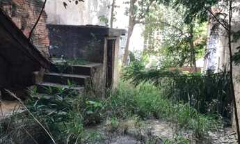 Imagem 6: AREA - PERDIZES - SP