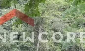 Imagem 5: Sítio em Est Padilha - Padilha - Padilha/RS