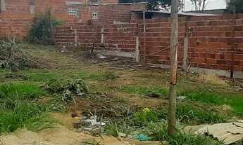 Imagem 6: Vendo / troco Lote samambaia