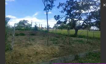 Imagem: Posse em amargosa Ba