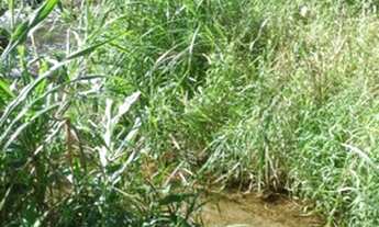 Imagem: Casa à venda no sana oportunidade área