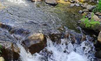 Imagem 4: Fazenda/Sítio/Chácara Krtiscka Corretor de Imóveis