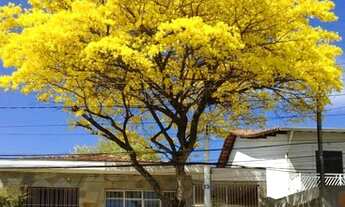 Imagem: Casa térrea 04 dormitórios sendo 02 com