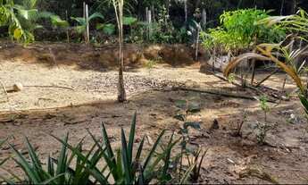 Imagem 4: Linda chácara em vargem alta