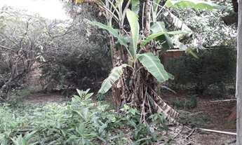 Imagem: Cod JM-001 Vendo 02 terreno conjugados