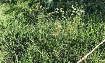 Imagem 2: Excelente Terreno 533 m2 Ponta da Fruta - Interlagos II