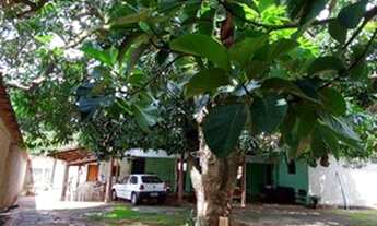 Imagem 3: Casa Venda Vila Santa Helena - Goiânia - GO 587 m² de Terreno