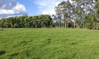 Imagem 6: Fazenda mirassol ( mirassol do oeste