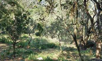 Imagem 4: Viamão - Terreno Padrão - Viamópolis