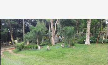 Imagem 4: Terreno no centro de Fazenda Rio Grande- Paraná