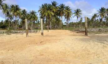 Imagem 3: Terreno para Venda em Amontada, Icarai de Amontada