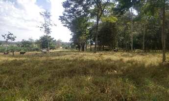 Imagem: Chácara em Aragoiania de 1000 metros a