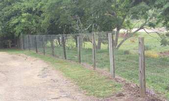 Imagem 3: IçARA - Terreno Padrão - Terceira Linha