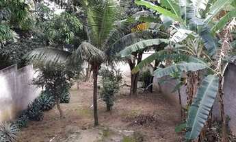 Imagem 3: Tanque, Casa de 3 Qtos com quintal de 500 metros quadrados