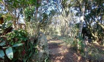 Imagem 5: Viamão - Terreno Padrão - Viamópolis