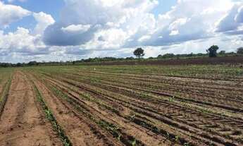 Imagem: Fazenda/Sítio/Chácara para venda tem 2500000