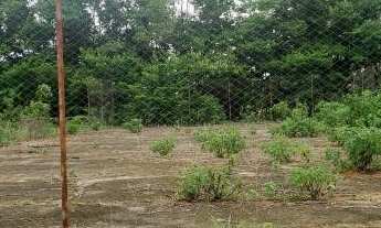 Imagem 3: Oportunidade, Chácara 3 Hectares ( Escriturada e Registrada