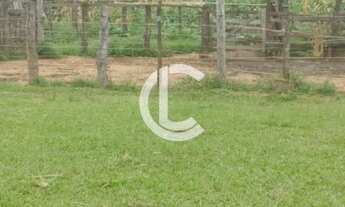 Imagem 2: FAZENDA DE 11 ALQUEIRES A VENDA LOCALIZADA NO MUNICÍPIO DE PIRENÓPOLIS