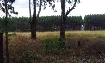 Imagem 4: Fazenda para Venda em Niquelândia, Rural, 3 dormitórios, 2 banheiros, 5 vagas