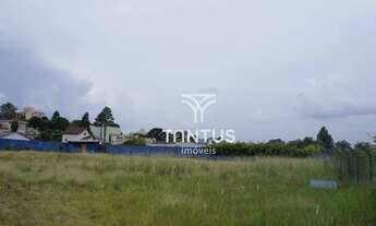 Imagem 14: Terreno à venda, 3682 m² por R$ 4.000.000,00 - Tingui - Curitiba/PR