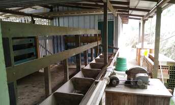 Imagem 7: Sítio a venda em Penha Paulo Lopes