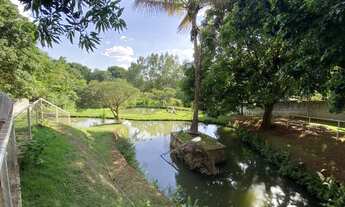 Imagem: Chacara no Eliforte a venda - asfaltado