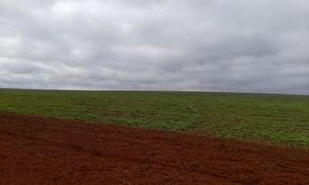 Imagem 3: Fazenda Município Ipameri - GO