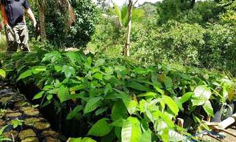 Imagem 2: Fazenda à venda, 710000 m² por R$ 650.000,00 - Jitaúna - Jitaúna/BA