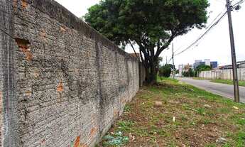 Imagem 5: 2 TERRENOS ADJACENTES PARA VENDA OU LOCAÇÃO COM 1.200 m2 - BAIRRO VARGEM GRANDE PINHAIS