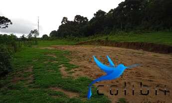 Imagem 5: Terreno Urbano limpo e plano medindo 3.785m² em Agudos do Sul