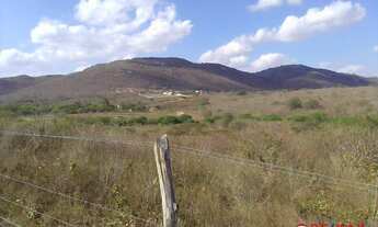 Imagem 4: Terreno para lotes Rendeiras