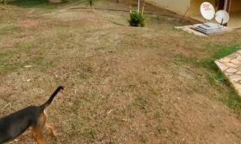 Imagem 4: Sítio 2900 m² condomínio fechado em Mateus Leme/MG