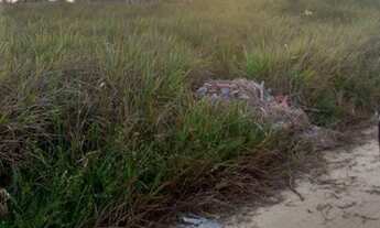 Imagem 4: Lote/Terreno para venda possui 450 metros quadrados em Praia Bela - Pitimbu - Paraíba