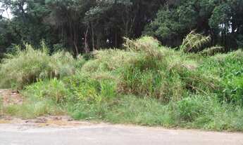 Imagem 4: Preço bom! Lindo terreno próximo ao Parque BariguI